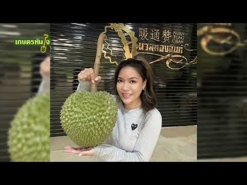 สวนนวลทองจันท์ X เกษตรทันใจ