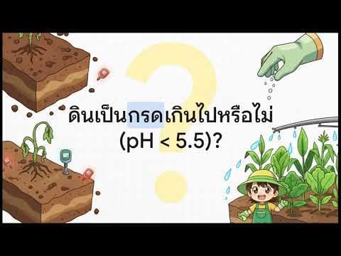 ดินเล่าเรื่อง3-ค่าpHดิน กุญเเจลับสู่ผลผลิต